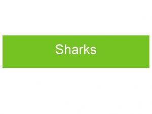 Sharks Class Chondrichthyes skeletons made up entirely of