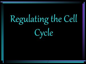 Regulating the Cell Cycle Regulating the Cell Cycle