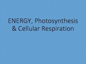 ENERGY Photosynthesis Cellular Respiration 1 Releasing Food Energy