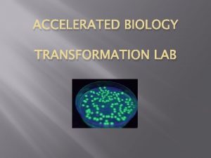 ACCELERATED BIOLOGY TRANSFORMATION LAB Transformation Process by which