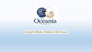 Established in 1988 The Oceania Project is a