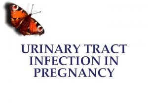 URINARY TRACT INFECTION IN PREGNANCY A urinary tract