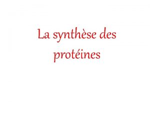 La synthse des protines Lexpression de linformation gntique