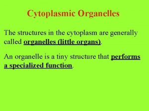 Cytoplasmic Organelles The structures in the cytoplasm are