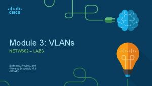 Module 3 VLANs NETW 602 LAB 3 Switching