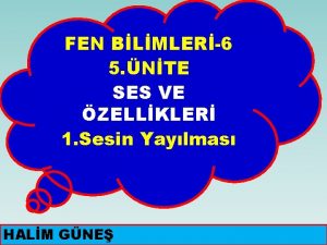 FEN BLMLER6 5 NTE SES VE ZELLKLER 1