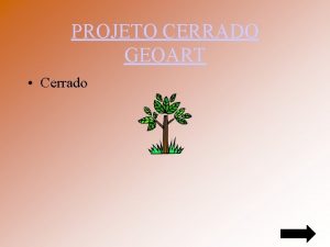 PROJETO CERRADO GEOART Cerrado INDICE Introduo Tarefa Processo