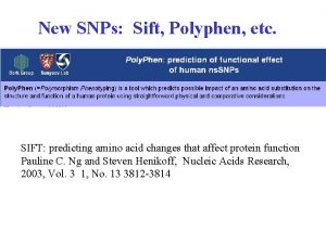 New SNPs Sift Polyphen etc SIFT predicting amino