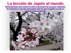 La leccin de Japn al mundo Recientemente esta