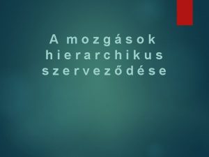 A mozgsok hierarchikus szervezdse 1 Gerincvel izomtnus belltsa