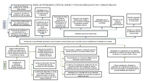 Aumento del riesgo por proliferacin de roedores y