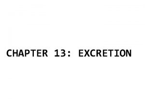 CHAPTER 13 EXCRETION EXCRETION Kidneys Filter blood of