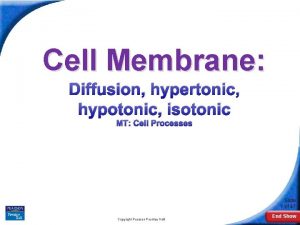 Biology Cell Membrane Diffusion hypertonic hypotonic isotonic MT