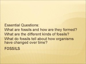 Essential Questions What are fossils and how are