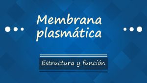 Membrana plasmtica Estructura y funcin Aprendizajes esperados b