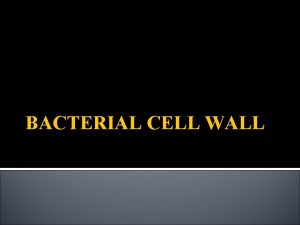 BACTERIAL CELL WALL FUNCTIONS OF CELL WALL PROTECTS