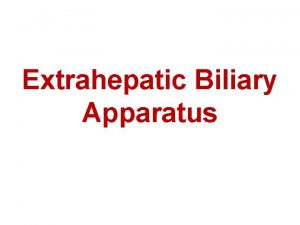 Extrahepatic Biliary Apparatus PARTS OF EXTRAHEPATIC BILIARY APPARATUS