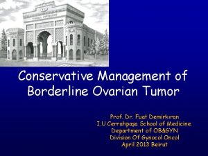 Conservative Management of Borderline Ovarian Tumor Prof Dr