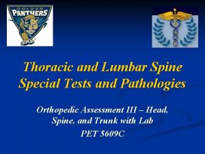 Thoracic and Lumbar Spine Special Tests and Pathologies