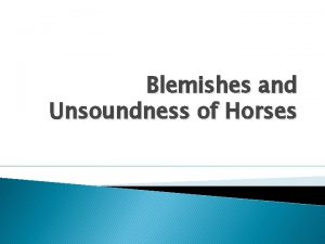 Blemishes and Unsoundness of Horses Definitions Unsoundness Any