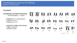 Ontwikkelingspsychologie voor het Onderwijs Fysieke Ontwikkeling 1 Introductie