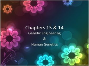 Chapters 13 14 Genetic Engineering Human Genetics Genetic