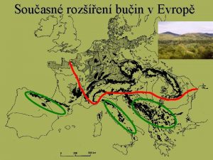 Souasn rozen buin v Evrop Fylogeografie postglaciln migrace