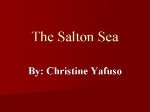 The Salton Sea By Christine Yafuso Background n