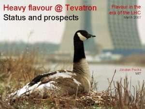 Heavy flavour Tevatron Status and prospects Flavour in