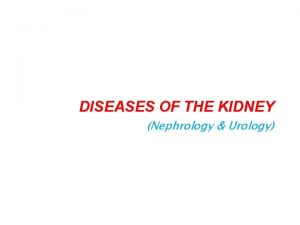 DISEASES OF THE KIDNEY Nephrology Urology PARAMETERS DEFINITIONS