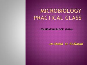 FOUNDATION BLOCK 2014 Dr Malak M ElHazmi MICROBIOLOGY