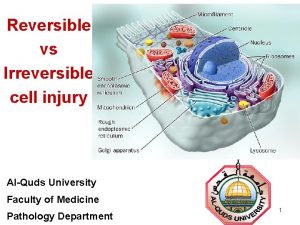 Reversible vs Irreversible cell injury AlQuds University Faculty