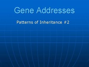 Gene Addresses Patterns of Inheritance 2 Genetic Loci