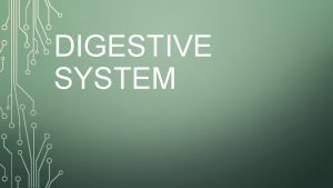 DIGESTIVE SYSTEM THE DIGESTIVE SYSTEM Breaks down the