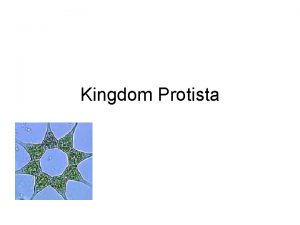 Kingdom Protista Protista the very first Not plants