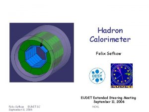 Hadron Calorimeter Felix Sefkow EUDET Extended Steering Meeting