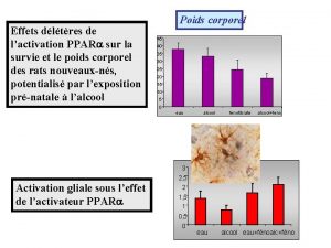 Effets dltres de lactivation PPAR sur la survie