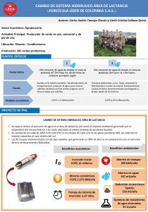 CAMBIO DE SISTEMA HIDRULICO REA DE LACTANCIA PORCCOLA