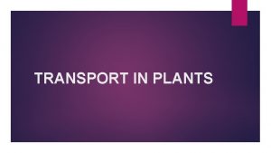 TRANSPORT IN PLANTS Translocation Transport of substances in