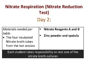 Nitrate Respiration Nitrate Reduction Test Day 2 Materials