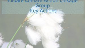 Kildare Climate Action Linkage Group Key Actions Themes
