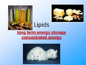 Lipids long term energy storage concentrated energy Lipids