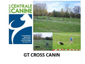 GT CROSS CANIN Le Cross Canin courir marcher