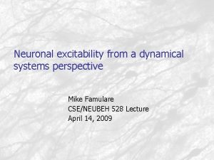 Neuronal excitability from a dynamical systems perspective Mike