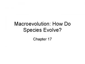 Macroevolution How Do Species Evolve Chapter 17 Macroevolution