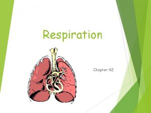 Respiration Chapter 42 Respiration Gas exchange Movement of