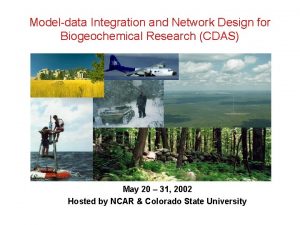 Modeldata Integration and Network Design for Biogeochemical Research