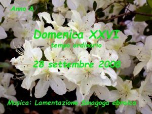 Anno A Domenica XXVI tempo ordinario 28 settembre