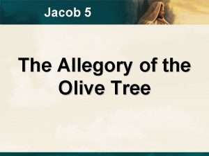 Jacob 5 The Allegory of the Olive Tree