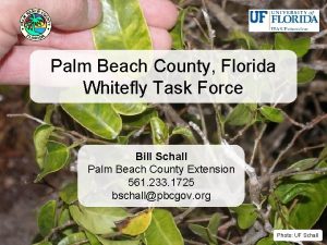 Palm Beach County Florida Whitefly Task Force Bill